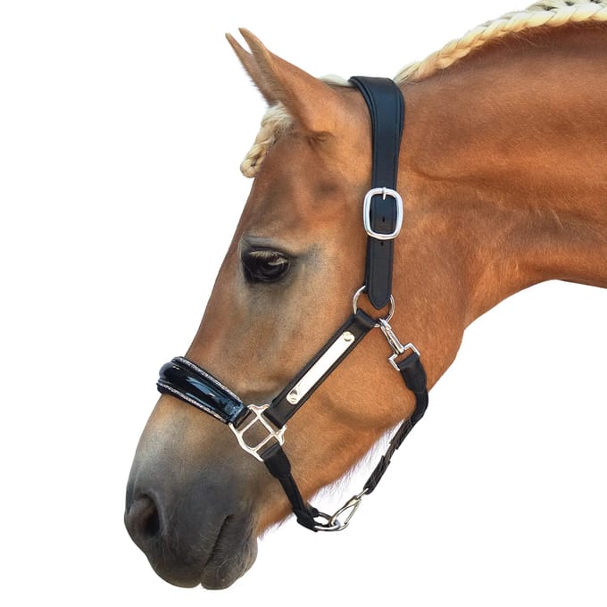 Leren halster voor paard Bridlery Eternity Warmblut