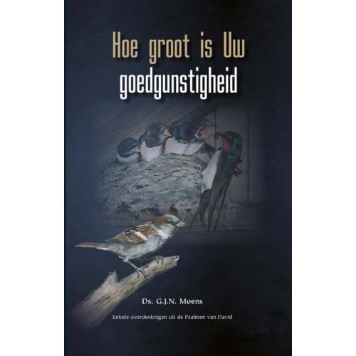 Hoe Groot Is Uw Goedgunstigheid - Themapreken - G.J.N. Moens