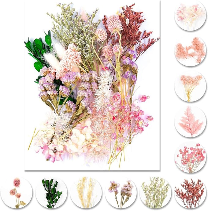 Set Echte Gedroogde Bloemen Lichtroze voor Knutselen Hars en Kaarten Maken