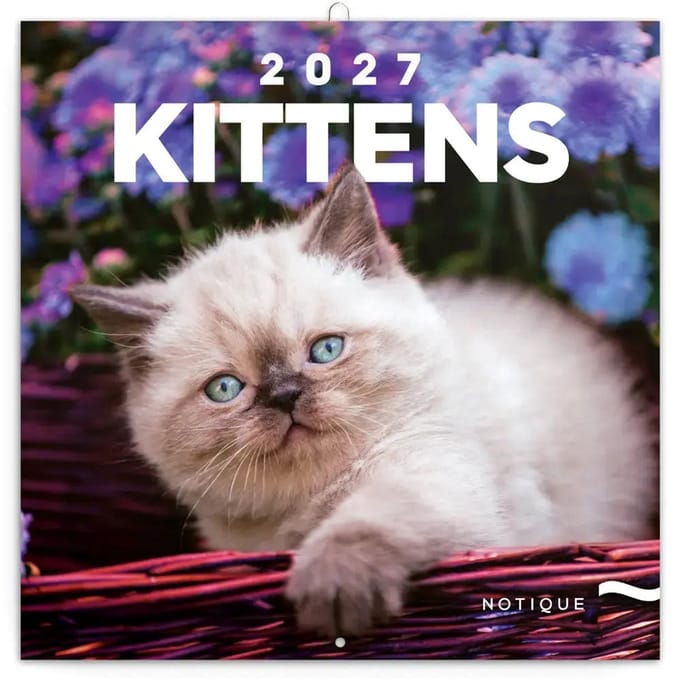 Kittens Kalender 2027