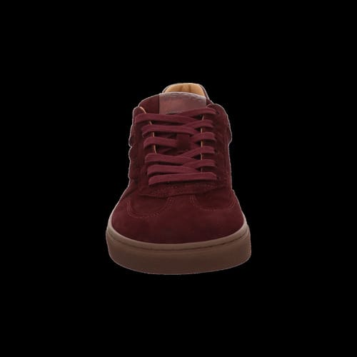 Lage Sneakers Koel -