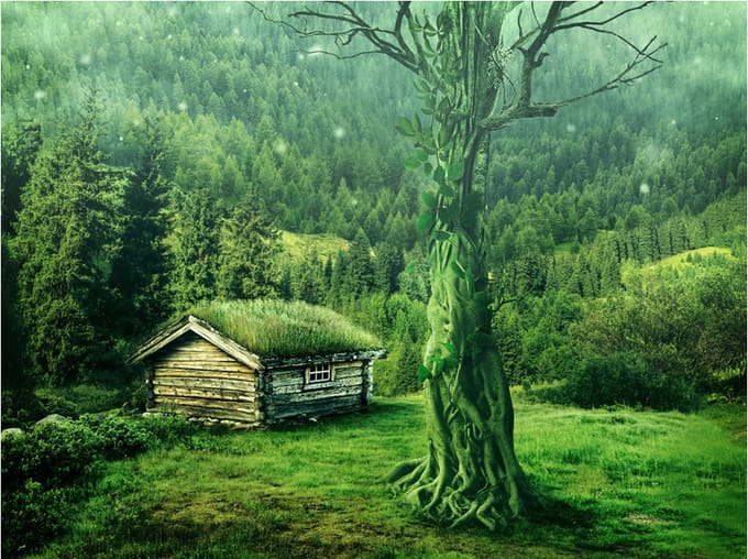 Fotobehang - Groene afzondering.