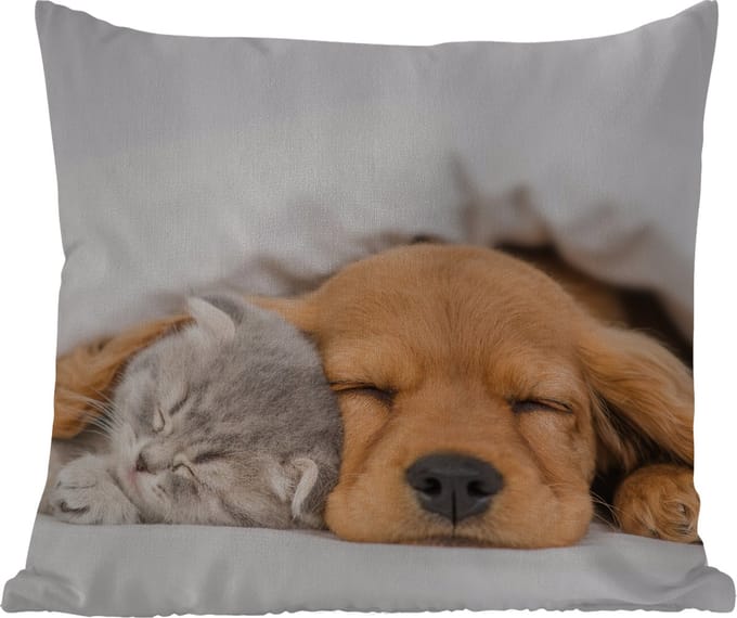 Tuinkussen - huisdieren - hond - Kat - Deken - 40x40 cm - Weerbestendig