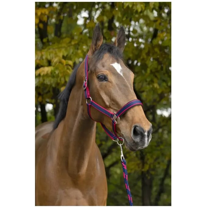 Halster voor paarden Equithème Satiné
