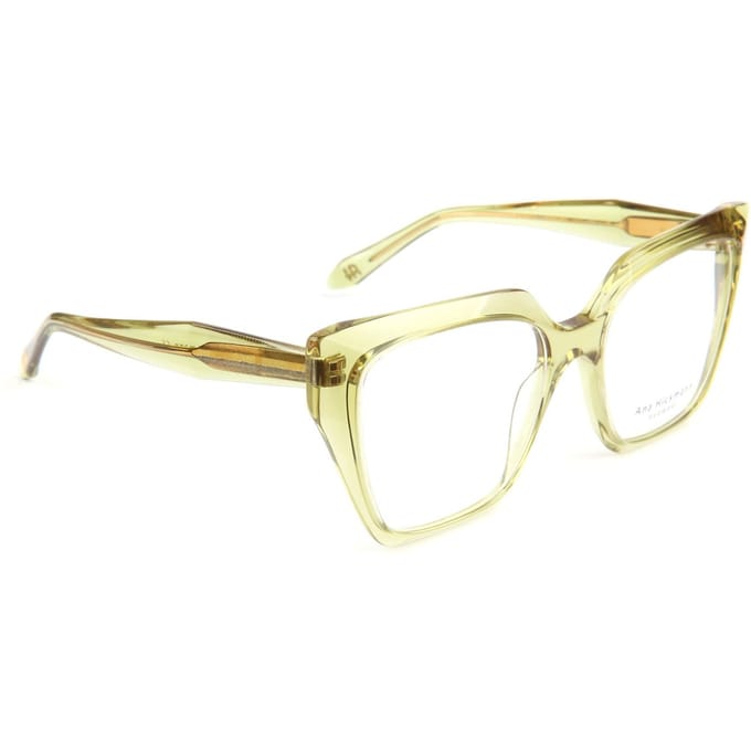 Ana Hickmann Optical Frame AH6588 T01 55