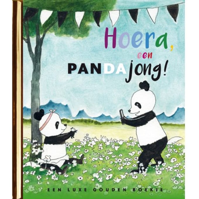 Hoera, Een Pandajong! - Gouden Boekjes - Jet Bakels