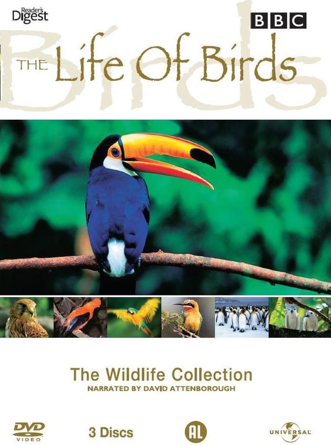 BBC: The Wildlife Collection - Life Of Birds