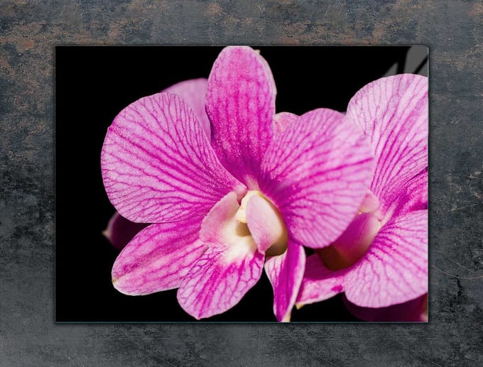 TMK ArtDeko - Snijplank - Glas - 70x52 cm - Orchidee