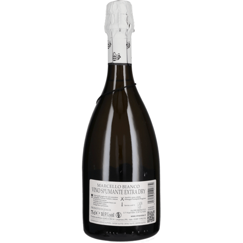 Spumante 'Marcello Bianco' Ariola 2024