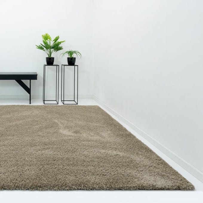 Vloerkleed Xilento Pleasure Leembruin | 200 x 300 cm