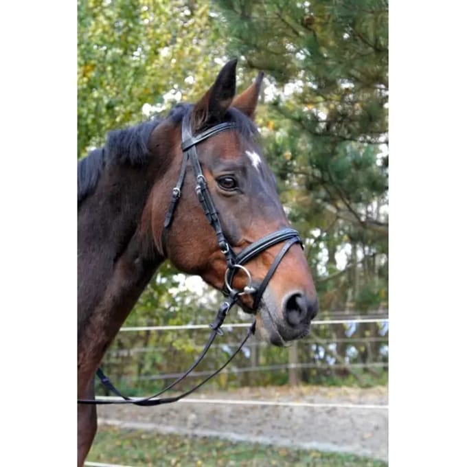 Snaffle hoofdstel klassiek Kerbl