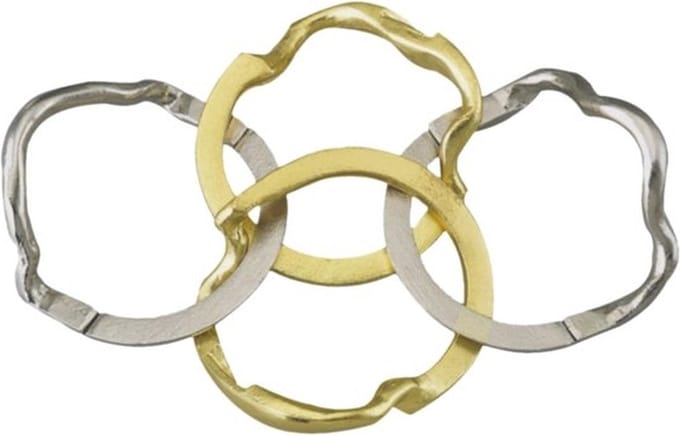 IQ-puzzel - Ring - Metaal - Niveau 4