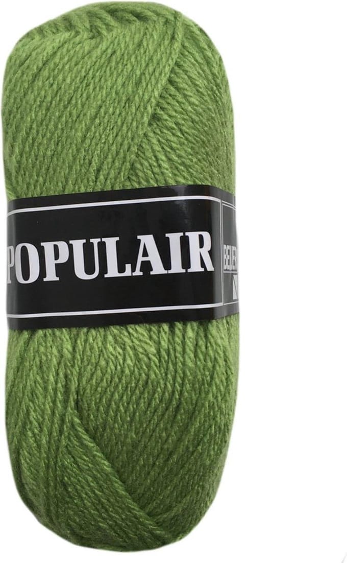Beijer BV Populair acryl garen - gras groen (82) - 20 bollen