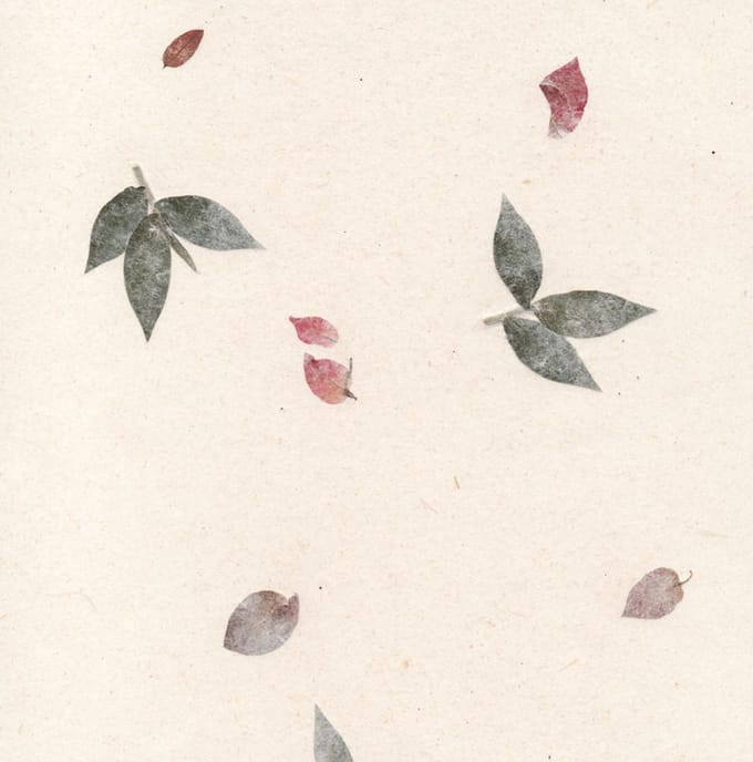 Set van 25 vel Tree Free Gampi papier met bloemen, A4