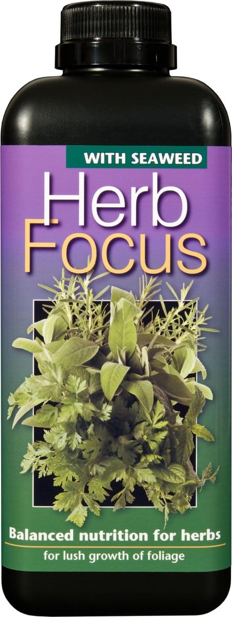 GROWTH TECHNOLOGY HERB FOCUS 300 ML