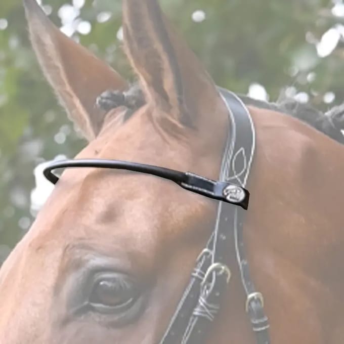 Frontaal voor paard Jump'In Monday