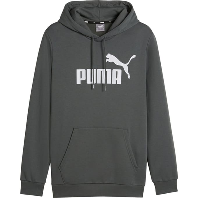 Puma Essentials Big Logo Hoody Grijs K069