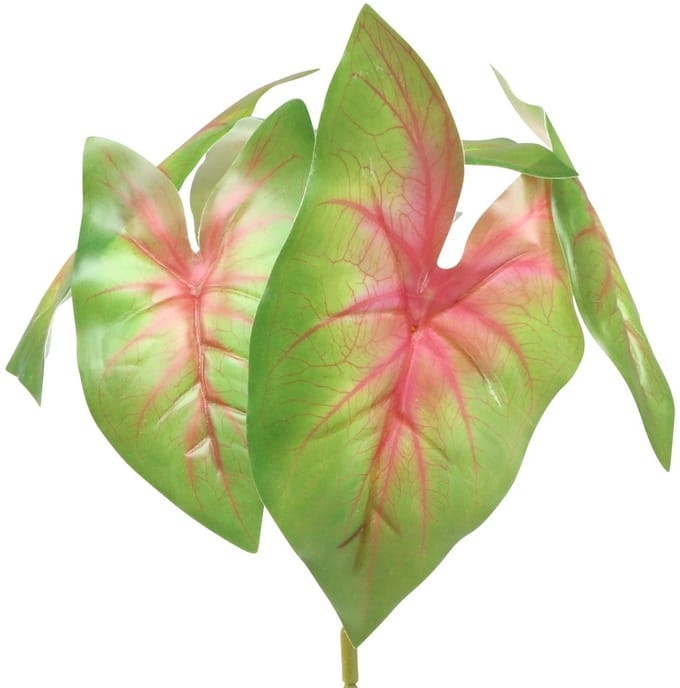 Kunstcaladium zesbladige groen/roze kunstplant zoals echt!