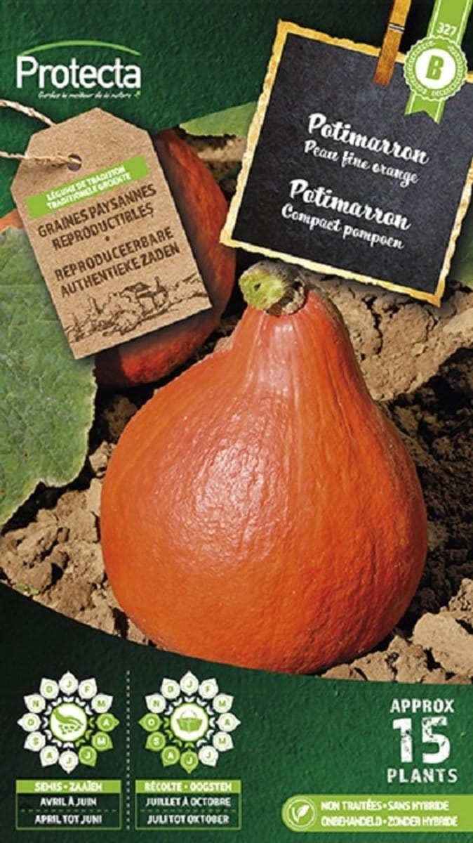 Protecta Groente zaden: Potimarron Pompoen