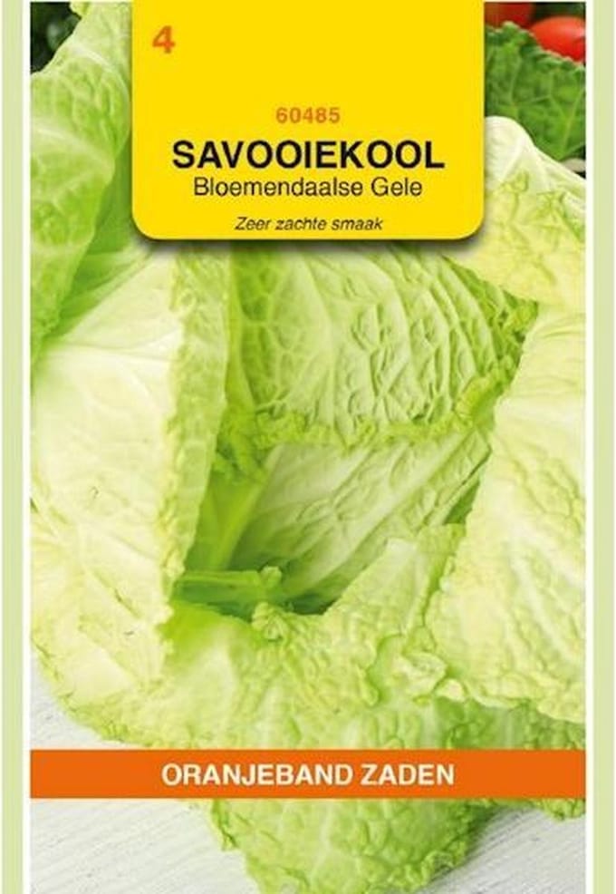 Oranjebandzaden -  Savooiekool Bloemendaalse gele