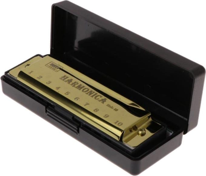 WiseGoods Premium Mondharmonica - Blaasinstrument - Goud