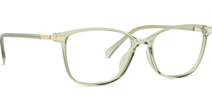 Polaroid PLD D460/G Crystal green 53/16/145 UNISEX Brilmonturen