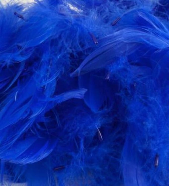 Pluim Eleganza , mixed sizes 3" and 5" / 50 grammes
