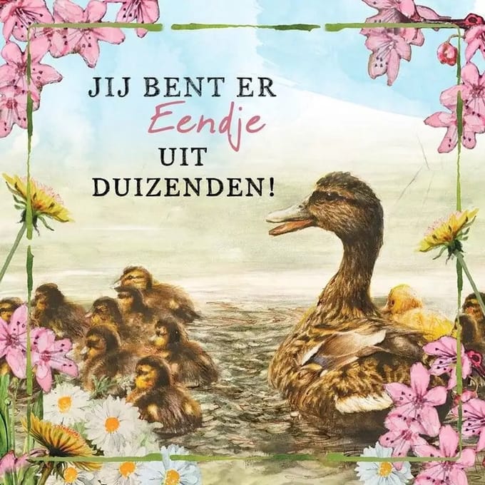 Wenskaart Rien Poortvliet, eendje uit duizenden