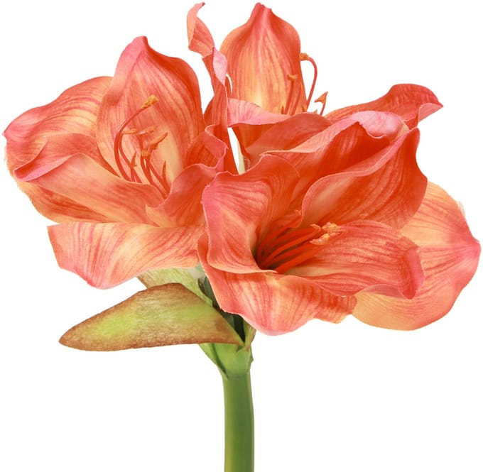 Amaryllis decoratieve bloemen in oranje kunst L55cm 2st