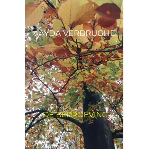 De Beproeving - Ayda Verbrughe