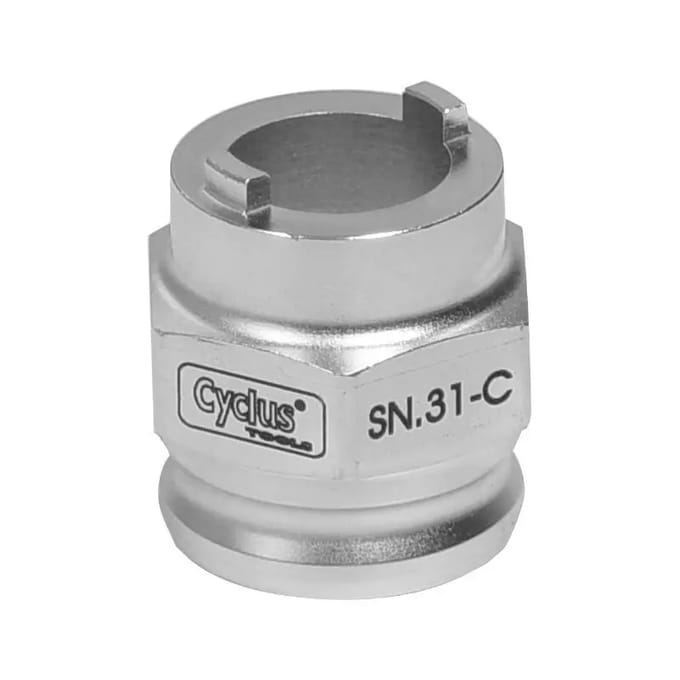 Cyclus Snap-in Sn-31-c Pion Afnemer Atom Maillard