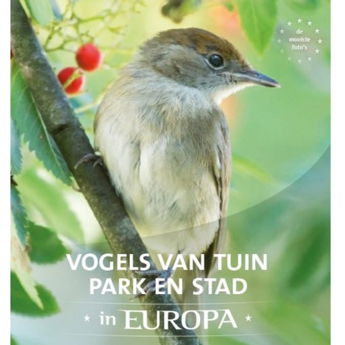 Vogels Van Tuin, Park En Stad In Europa - Jaap Schelvis