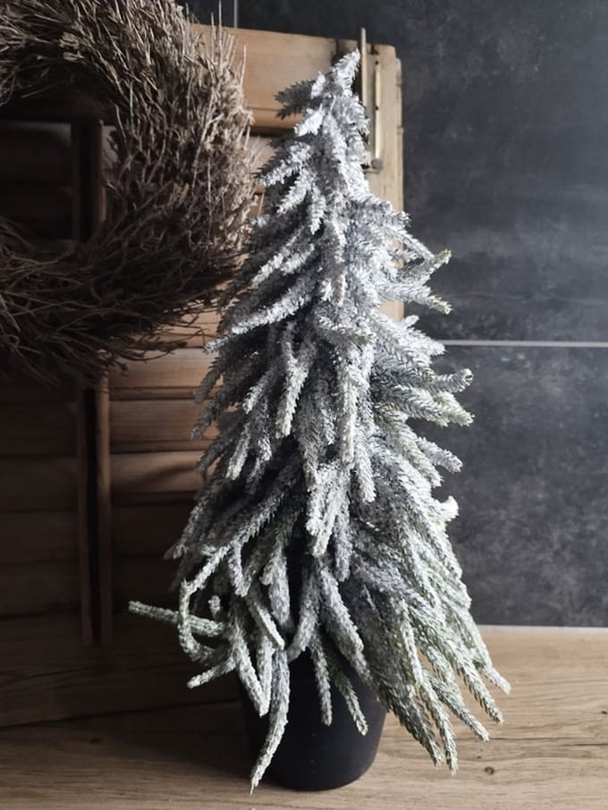 Kerstboompje demu in pot