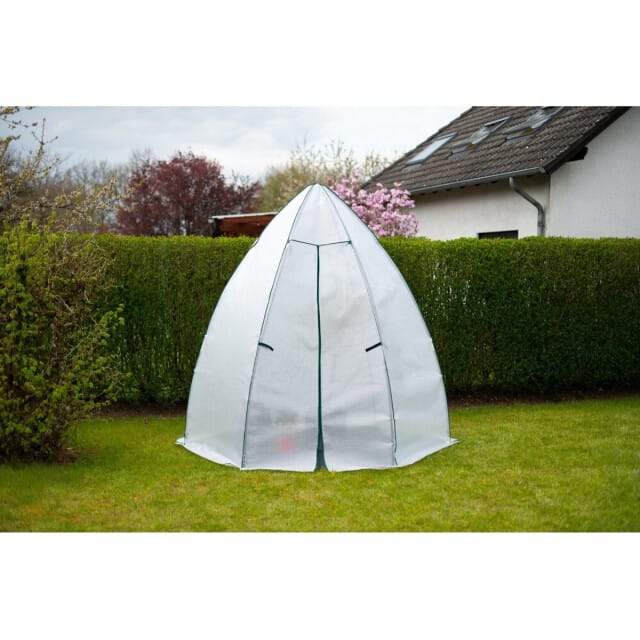 Westmann Avocado - Overwinteringstent voor planten - 250x250 cm