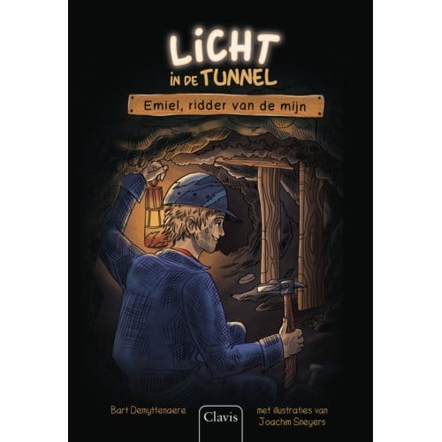 Licht In De Tunnel - Bart Demyttenaere