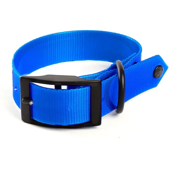 Fluo hondhalsband jacht Martin Sellier