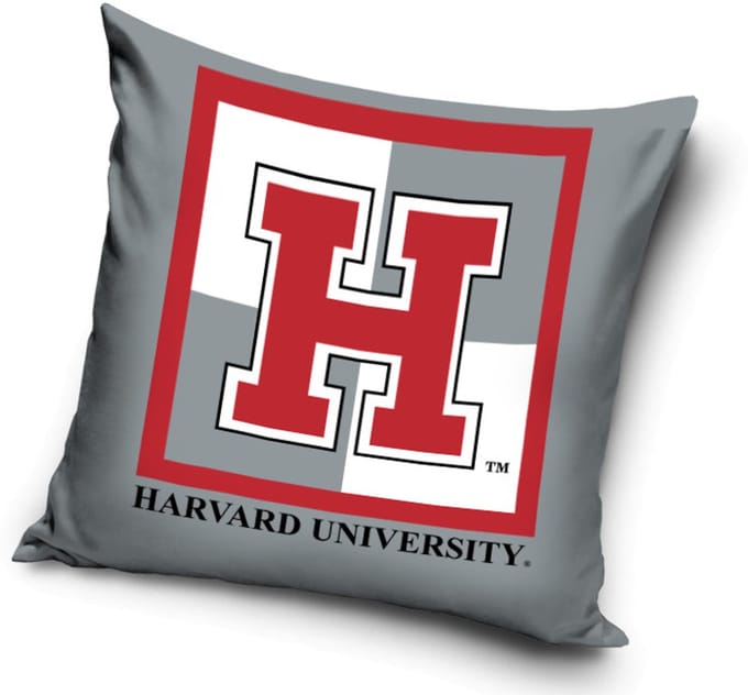 Sierkussen Harvard University 40x40 cm (inclusief vulling)