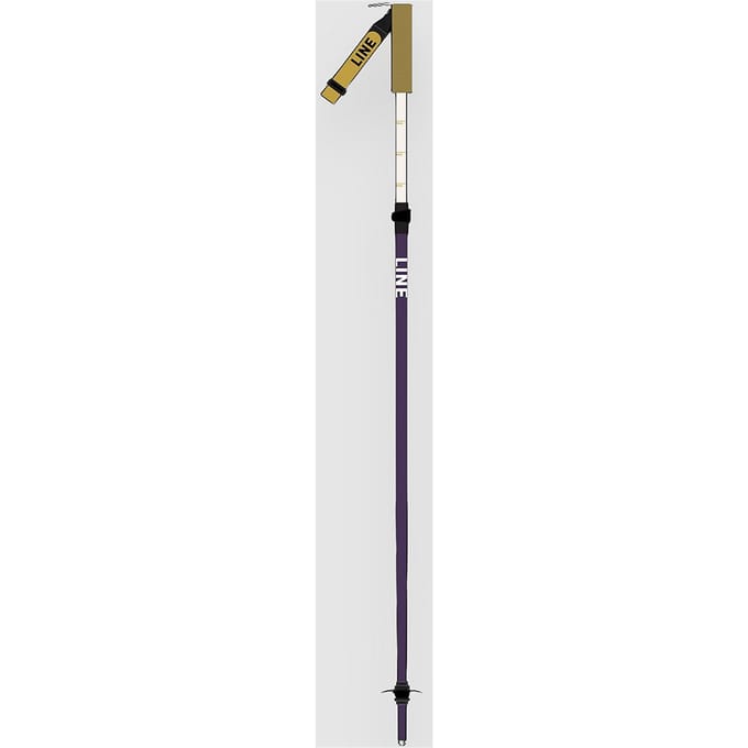 Line Paintbrush 2026 Ski Stokken patroon