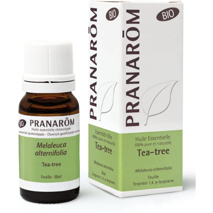 Pranarôm Essentiële Olie Tea Tree Bio | Natuurlijke afweer 10 Etherische olie