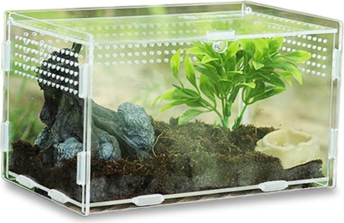 Thuys – Schildpadden Verblijf – Terrarium – Schildpadden Aquarium – 20cm x 12cm x 12cm