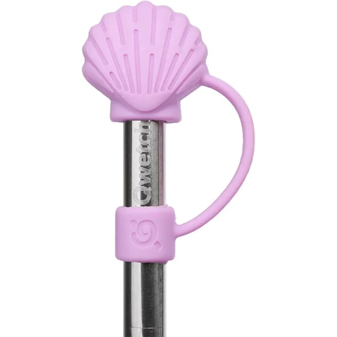 Embout voor rietje thermosbeker inox Qwetch