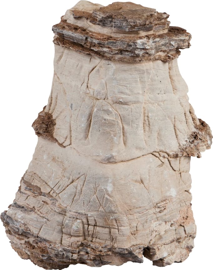 Sera Rock Asian Pagoda L - 2-3KG