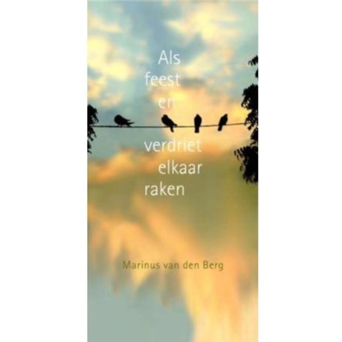 Als Feest En Verdriet Elkaar Raken - Marinus van den Berg