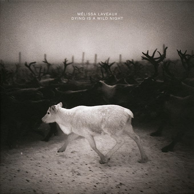 Melissa Laveaux - Dying Is A Wild Night (CD)