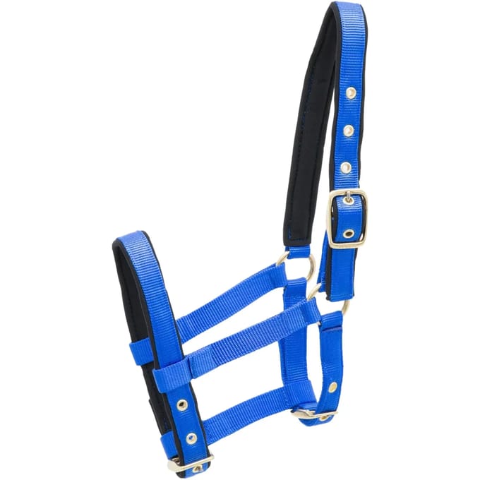 Nylon hoofdstel voor paard Kieffer