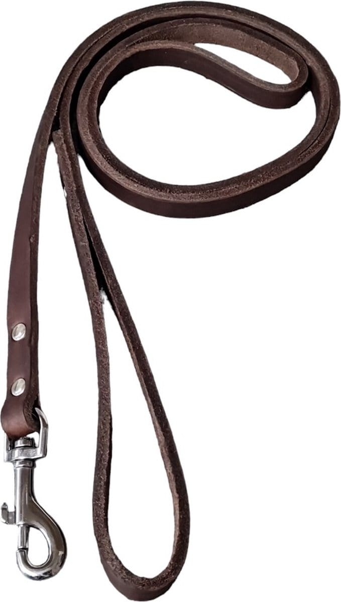 Schins Basic Hondenlijn - bruin - 130cm