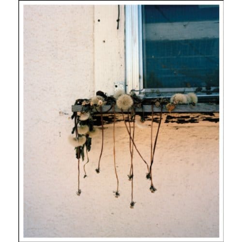 Stick Holding Branch - Wytske van Keulen