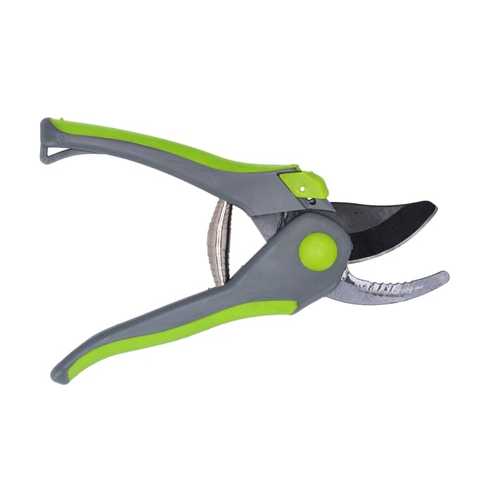 Pro Garden Tuinscharen set - 2 ST - snoeischaar en heggenschaar - 20 cm