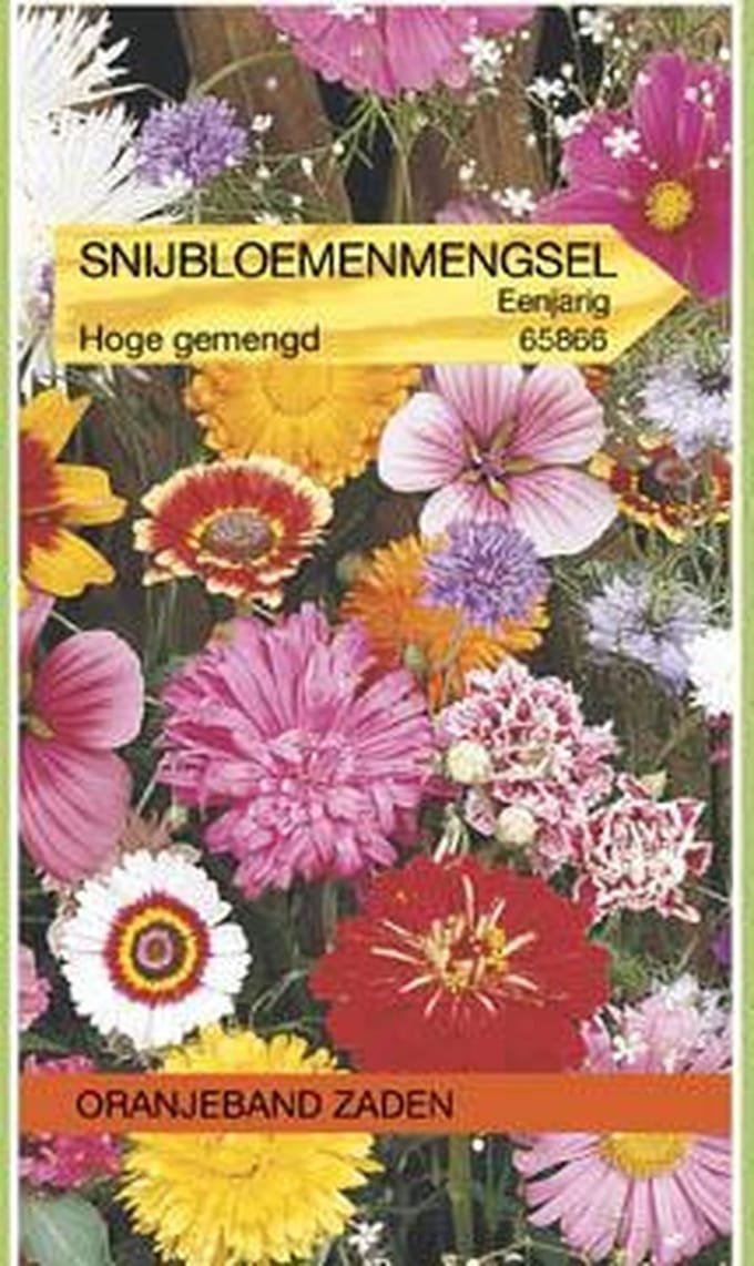 Oranjeband Zaden - Snijbloemen mengsel