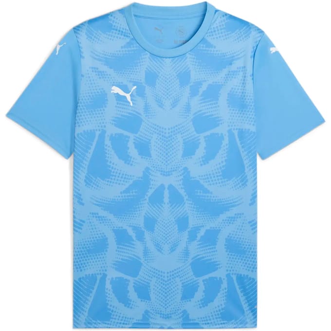 Jersey Puma Team Ultimate